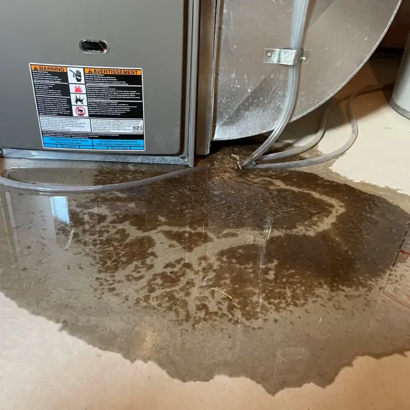 Appliance Leak Cleanup in Fairview, GA