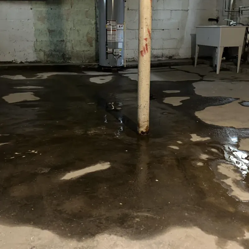 Emergency Water Extraction And Removal in Fairview, GA